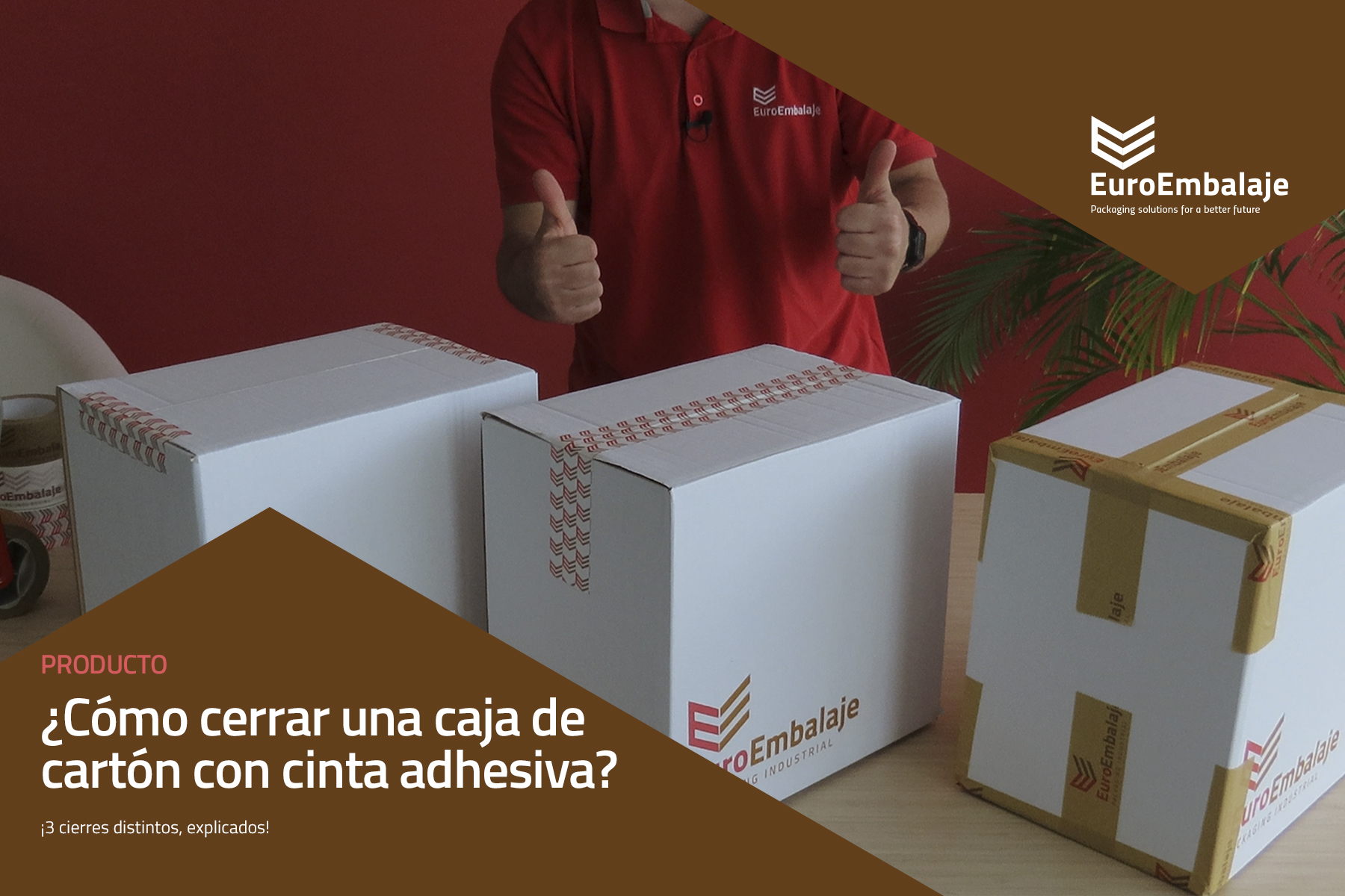 carolino visa Loco Cómo cerrar una caja de cartón con cinta adhesiva? - Euroembalaje
